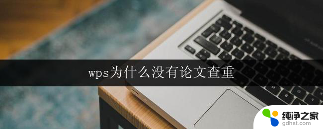 wps为什么没有论文查重