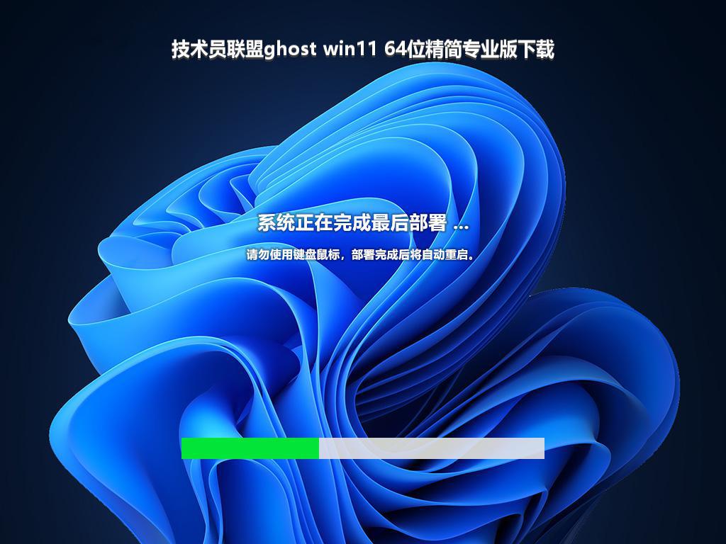 技术员联盟ghost win11 64位精简专业版下载