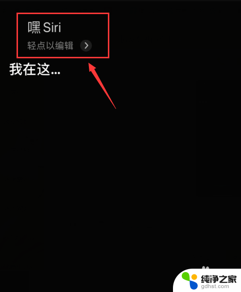 怎么调整siri的应答声音